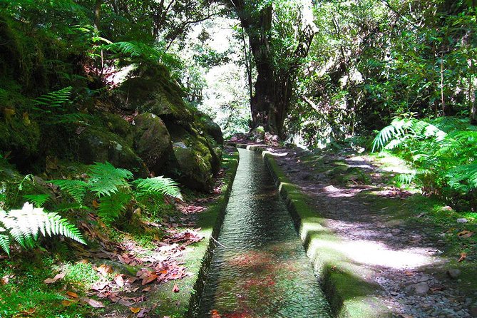 Hidden Corners: Levada Walk From Funchal - Key Points