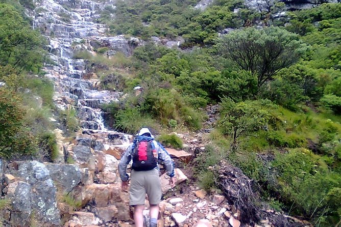 Hiking and Trekking on Table Mountain - Key Points