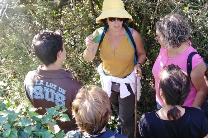 Hiking and Wild Tapas, Discovering the Secret of Plants