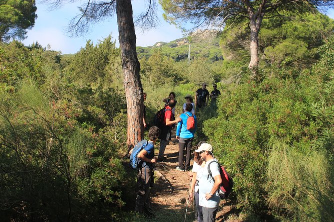 Hiking Costa De La Luz Betis, Mountain to Beach Walk.