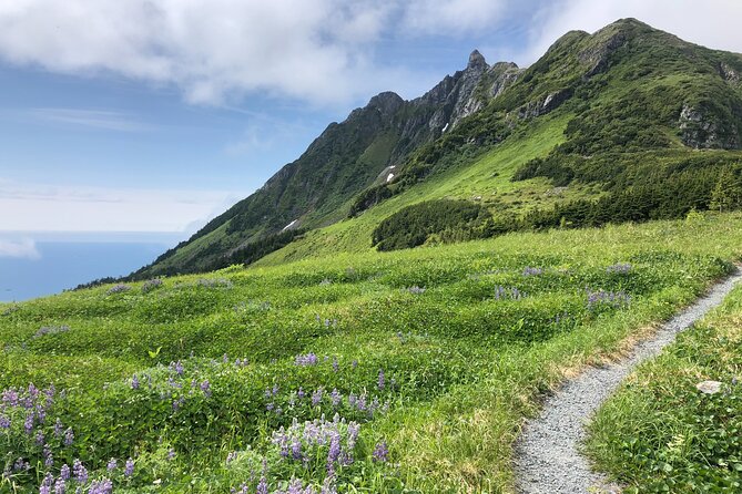 Hiking Tour In Sitka, Alaska