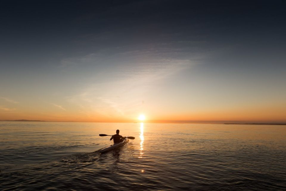 Hilton Head: Guided Kayak Tour - Key Points