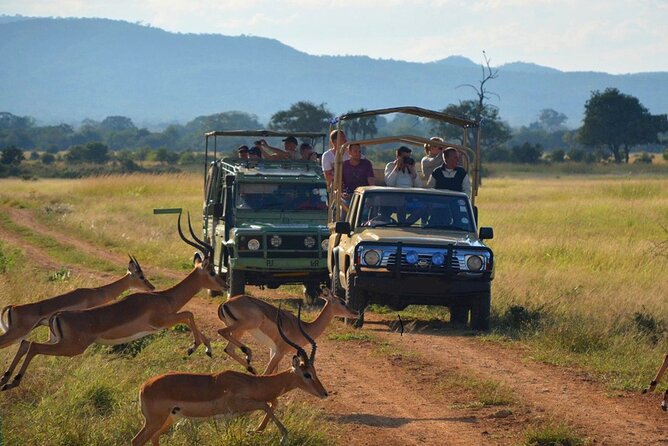 Hluhluwe Imfolozi Game Reserve & Phezulu Culture 2 Day Combo Tour From Durban - Key Points