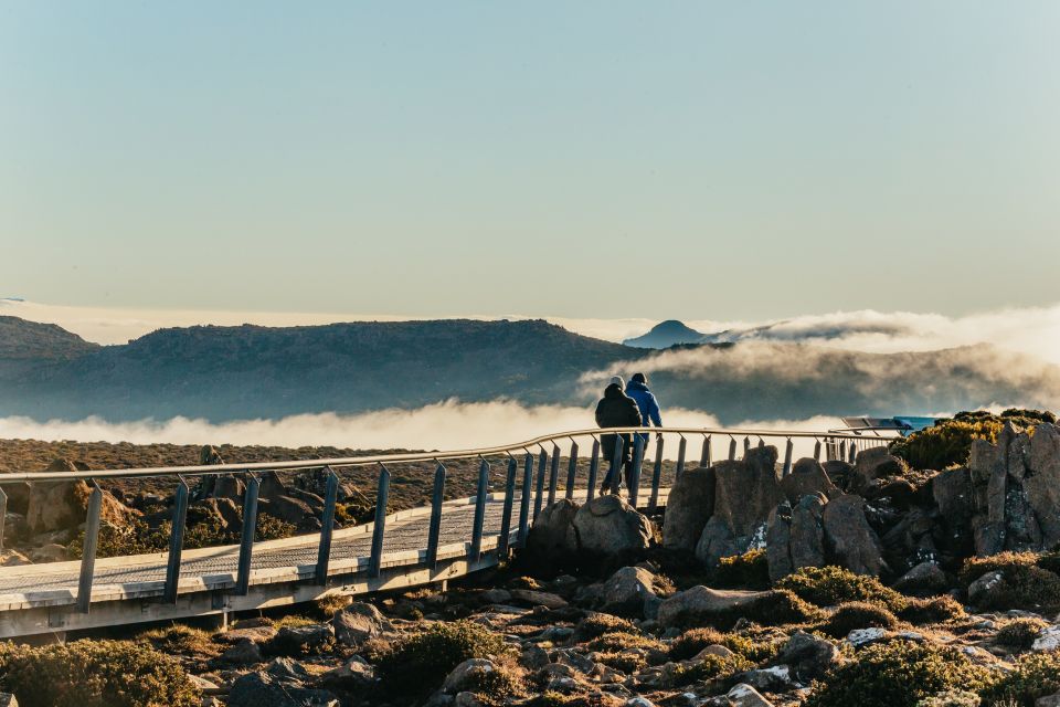 Hobart: Mt Wellington, Mt Field, Bonorong and Richmond Trip - Key Points