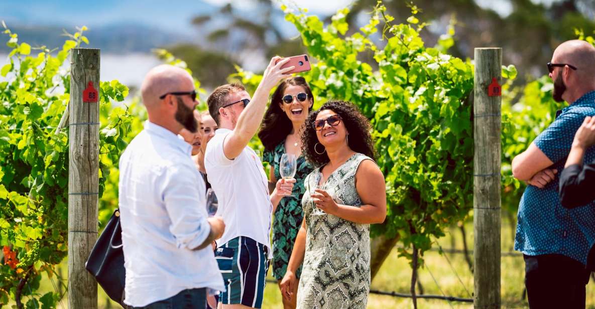 Hobart: Top Tasmanian Wineries Day Tour With Tastings - Key Points