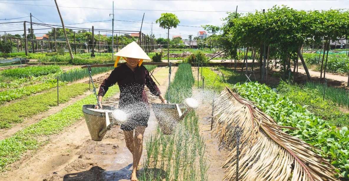 Hoi An: Authentic Cooking Class in Organic Herb Village - Key Points
