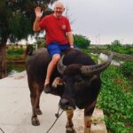 hoi an countryside tour with bamboo basket boat rowing buffalo ride farming Hoi an Countryside Tour With Bamboo Basket Boat Rowing , Buffalo Ride, Farming