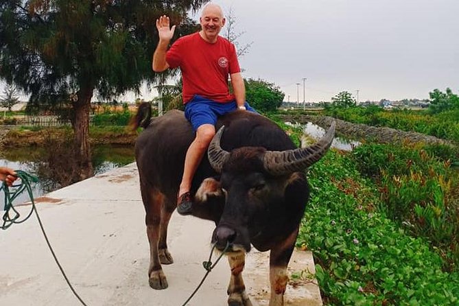 hoi an countryside tour with bamboo basket boat rowing buffalo ride farming Hoi an Countryside Tour With Bamboo Basket Boat Rowing , Buffalo Ride, Farming