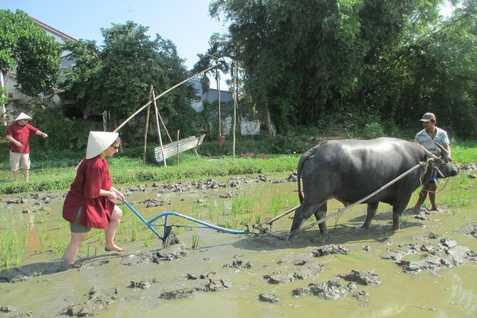 Hoi An Wet Rice Farming Fishing Catching & Basket Boat Tour - Tour Details and Logistics