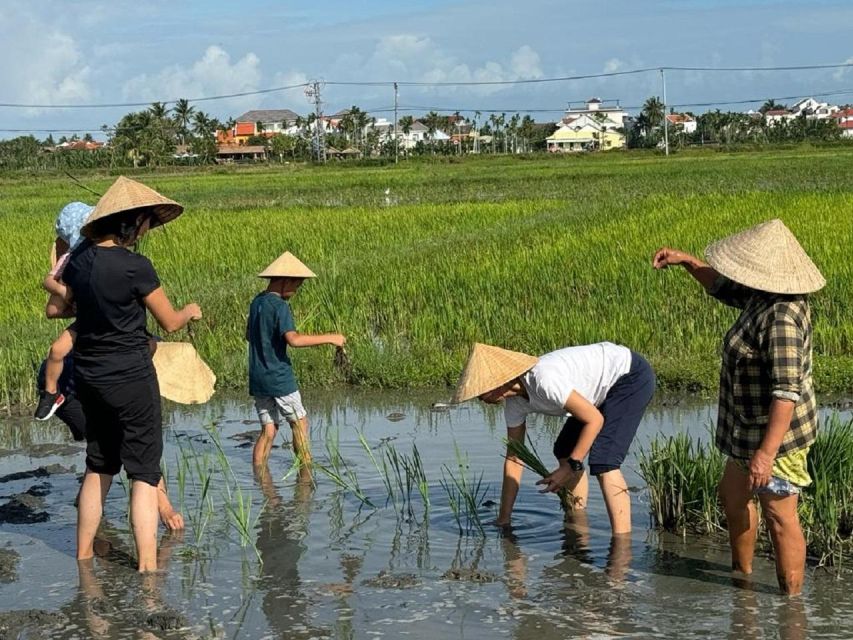 Hoi An:Cycling,Traditional Farming & Fishing Life Experience - Key Points