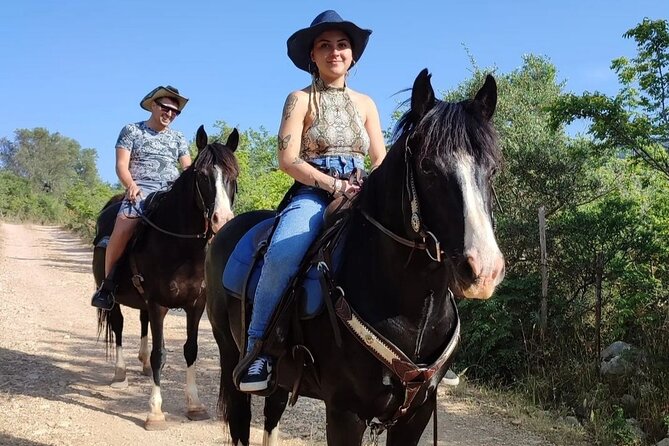Horse Riding in the Gargano National Park - Horse Riding Experience Details