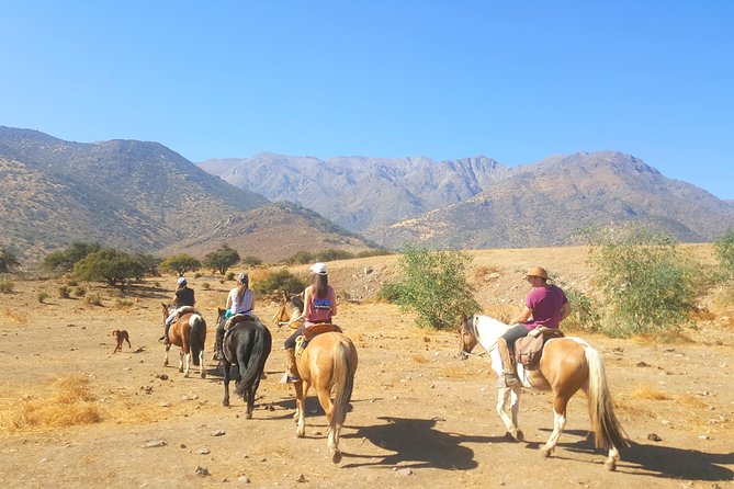 Horse Riding Tour in the Andes Santiago Chile - Key Points