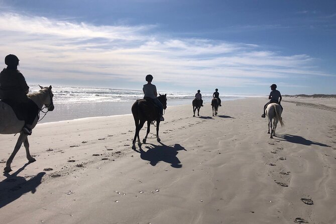 Horse Safari & Beach Ride Western Cape - Key Points