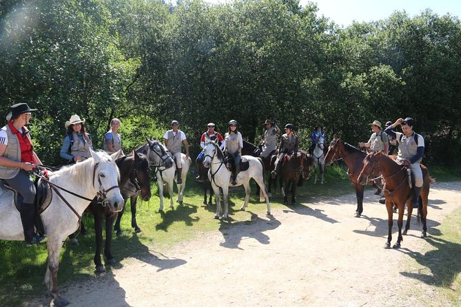 Horseback Riding Camino De Santiago in Abadín, Spain - Key Points