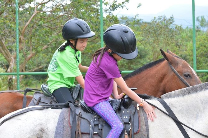 Horseback Riding to the Volcano at Arenal Wilberth Stable - Key Points