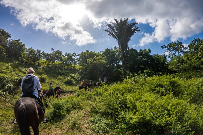 Horseback Riding Trail Tour, Roatan Letters and Ocean in Flowers Bay - Key Points