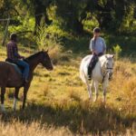 horseback small group trail rides in muldersdrift Horseback Small-Group Trail Rides in Muldersdrift