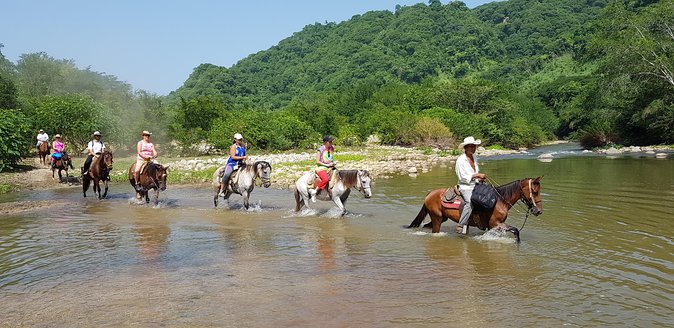Hot Springs Horseback Riding Adventure - Key Points