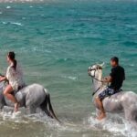 hurghada sea desert horseback riding stargazing dinner show Hurghada: Sea & Desert Horseback Riding, Stargazing, Dinner, Show