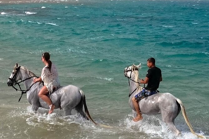 Hurghada: Sea & Desert Horseback Riding, Stargazing, Dinner, Show