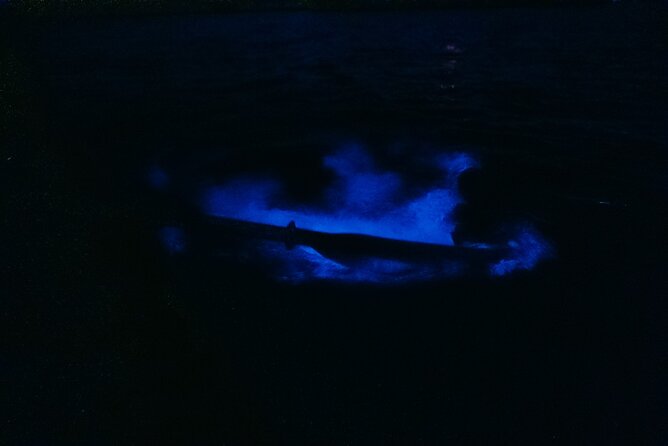 Wildlife Refuge Bioluminescent Kayak or Paddleboard Tour! - Customer Reviews