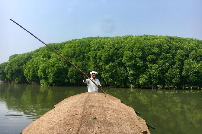 Into the Mangroves: Calicut Mangrove Trail by Tyndis - Key Points