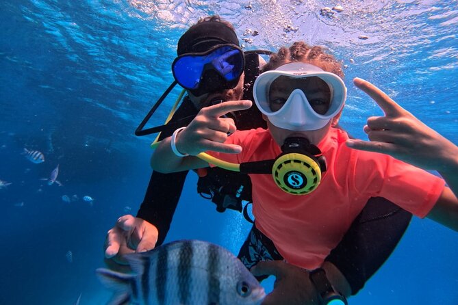 Intro Diving Beginner and Discover Red Sea Underwater - Key Points