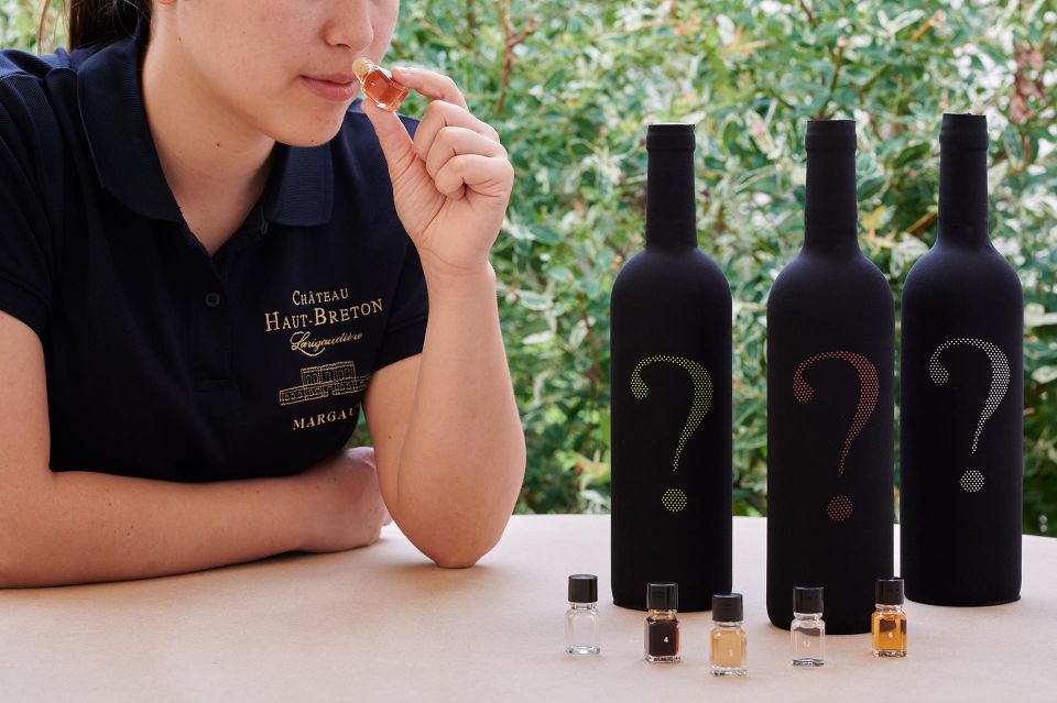 Introduction to Wine Tasting With the Flavours Game - Key Points