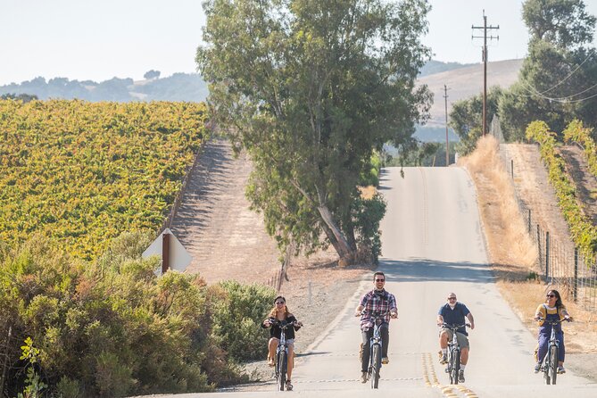 Introductory Wine Tour of Paso Robles on Electric Bikes - Tour Options for Exploring Paso Robles