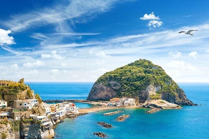 Ischia & Procida Private Boat Tour - Key Points