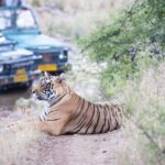 jaipur to ranthambore national park private gypsy safari tour Jaipur to Ranthambore National Park Private Gypsy Safari Tour