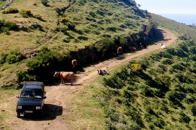 Jeep Tour Câmara De Lobos - Half Day - Key Points