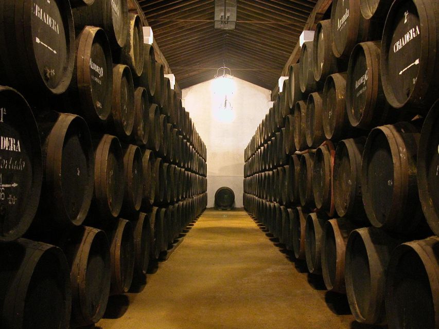 Jerez: Bodegas Álvaro Domecq Guided Tour With Wine Tasting - Key Points