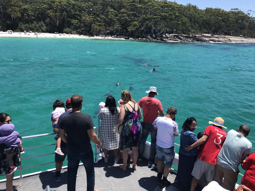 jervis bay 1 5 hour dolphin cruise Jervis Bay: 1.5-Hour Dolphin Cruise