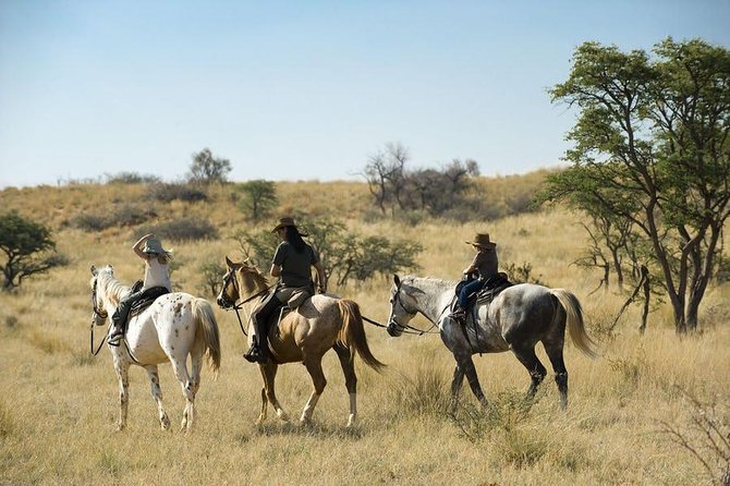 johannesburg private horseback riding safari pretoria Johannesburg Private Horseback Riding Safari - Pretoria