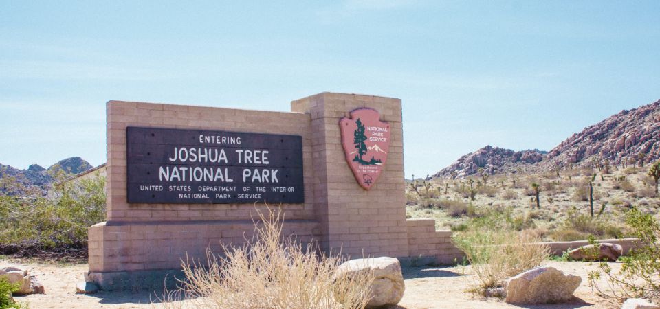 joshua tree national park self guided driving tour Joshua Tree National Park: Self-Guided Driving Tour