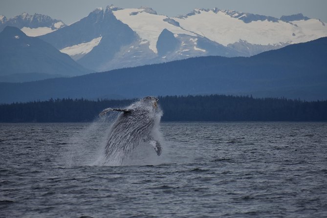 Juneau by Land & Sea - Key Points