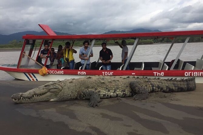 Jungle Crocodile Safari - Punta Arenas Highlights - Key Points