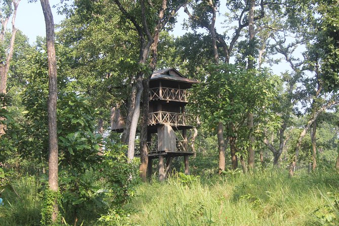 Jungle Towernight Stay In Chitwan National Park ,nepal-2 Nights 3 Days Package - Key Points