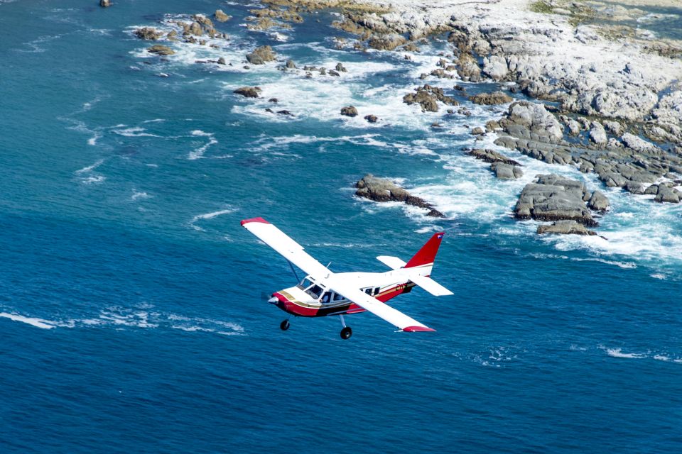 Kaikoura: Coastal and Alpine Scenic Airplane Flight - Key Points
