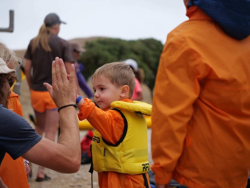 Kaikoura: Guided Family Kayaking Adventure - Key Points