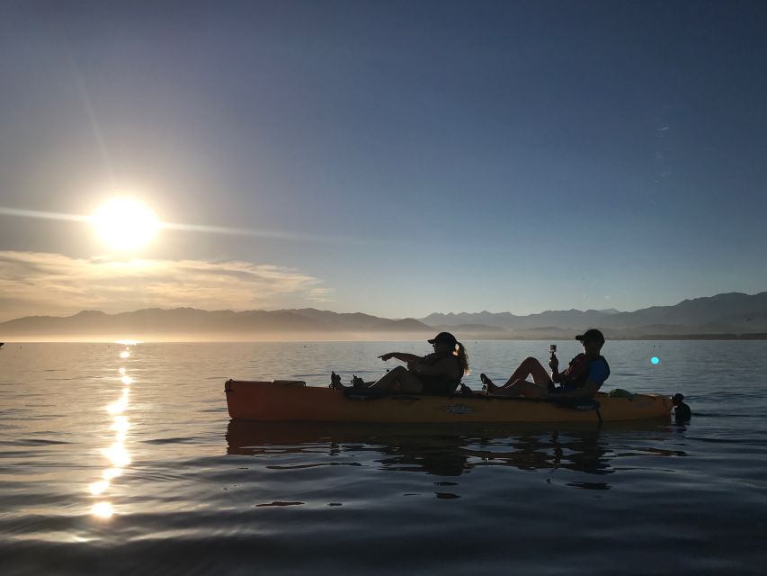 Kaikoura: Seal-Watching Pedal Kayak Tour - Key Points