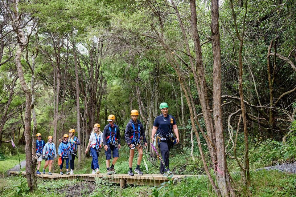 Kaikōura: Zipline and Native Forest Adventure Trip - Key Points