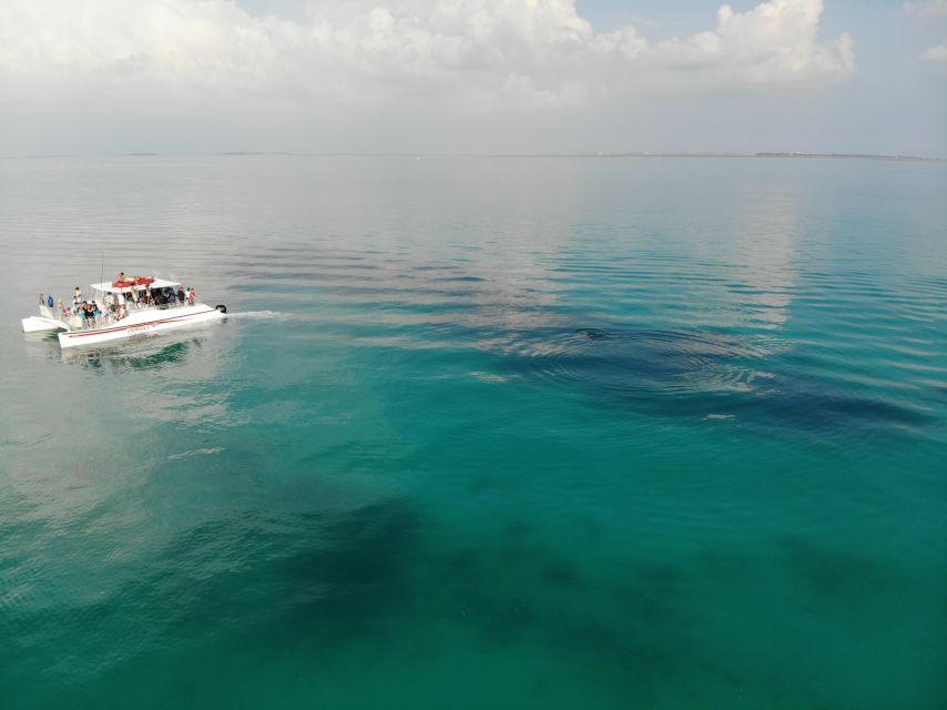 Key West: Dolphin and Snorkel Boat Tour - Key Points