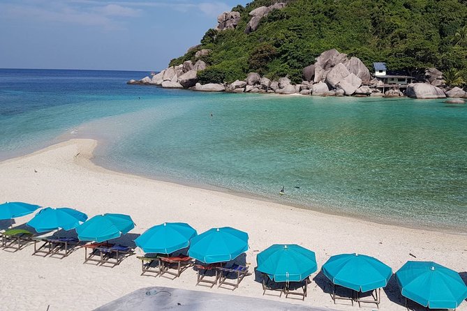 Koh Tao and Koh Nangyuan Premium Trip By Speedboat From Koh Samui - Key Points