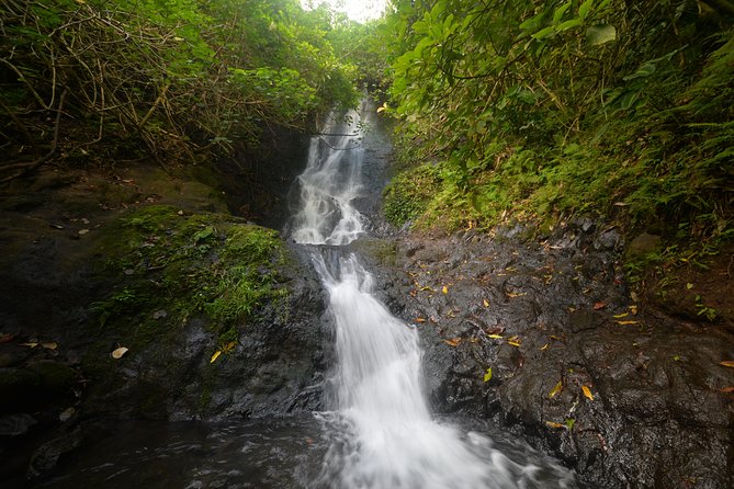 Koolau Waterfall Hike - Key Points