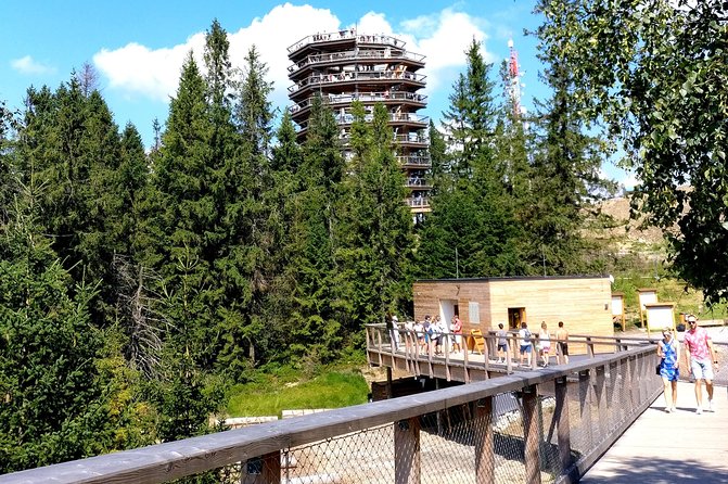 Krakow: Slovakia Treetop Walk & Zakopane Town Private Tour - Tour Highlights