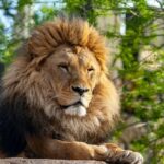 krakow zoo tour with private transport and tickets 2 Krakow: Zoo Tour With Private Transport and Tickets
