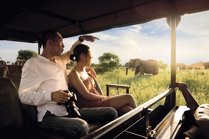 Kruger National Park Full Day Big 5 Safari Tour From Hazyview - Key Points