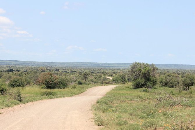Kruger National Park Private Full-Day Safari - Private Safari Vehicle & Guide - Key Points